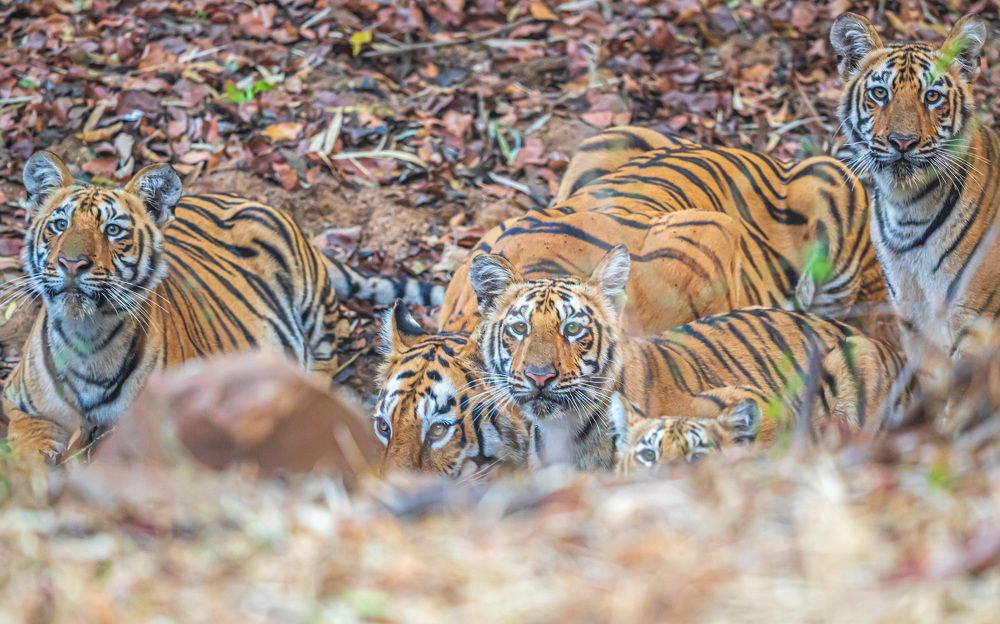 Photograph by Lionel falcao