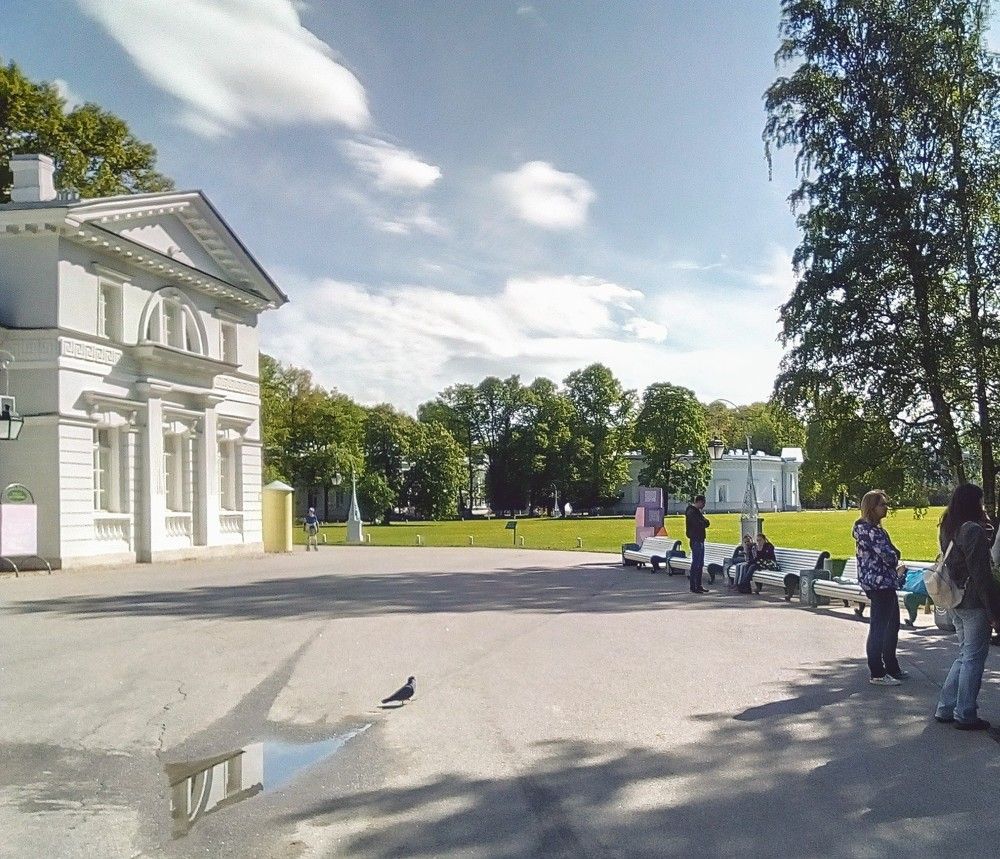 Photograph by Irina Mihailovskaya