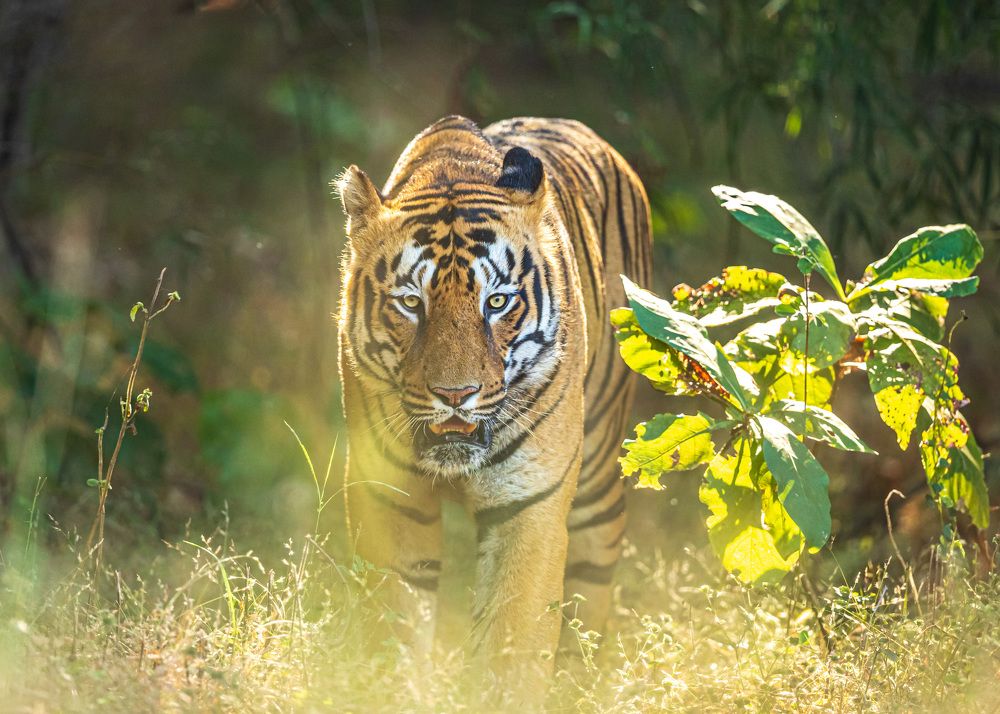 Photograph by Lionel falcao