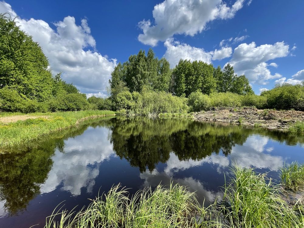 Photograph by Григорий Лыжин