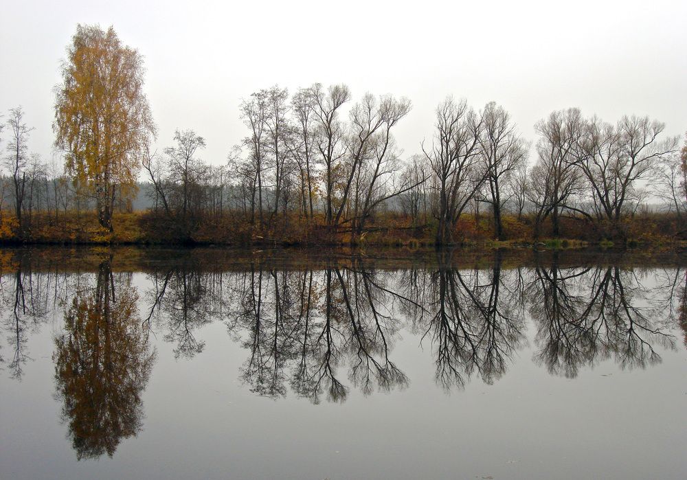 Photo #6859975