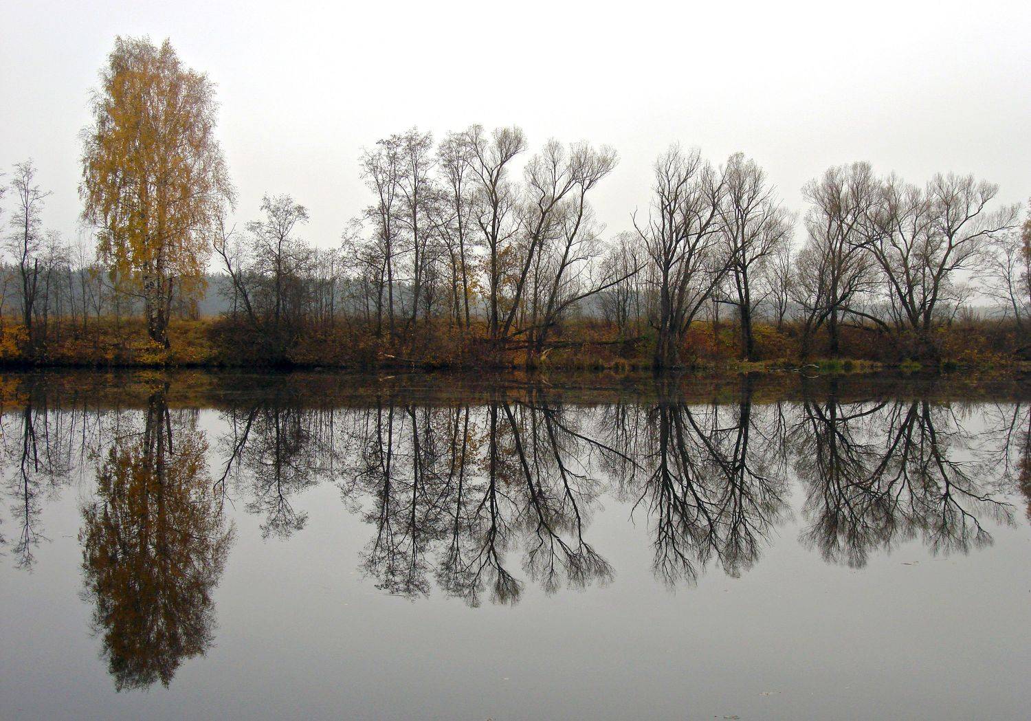 Photo #6859975