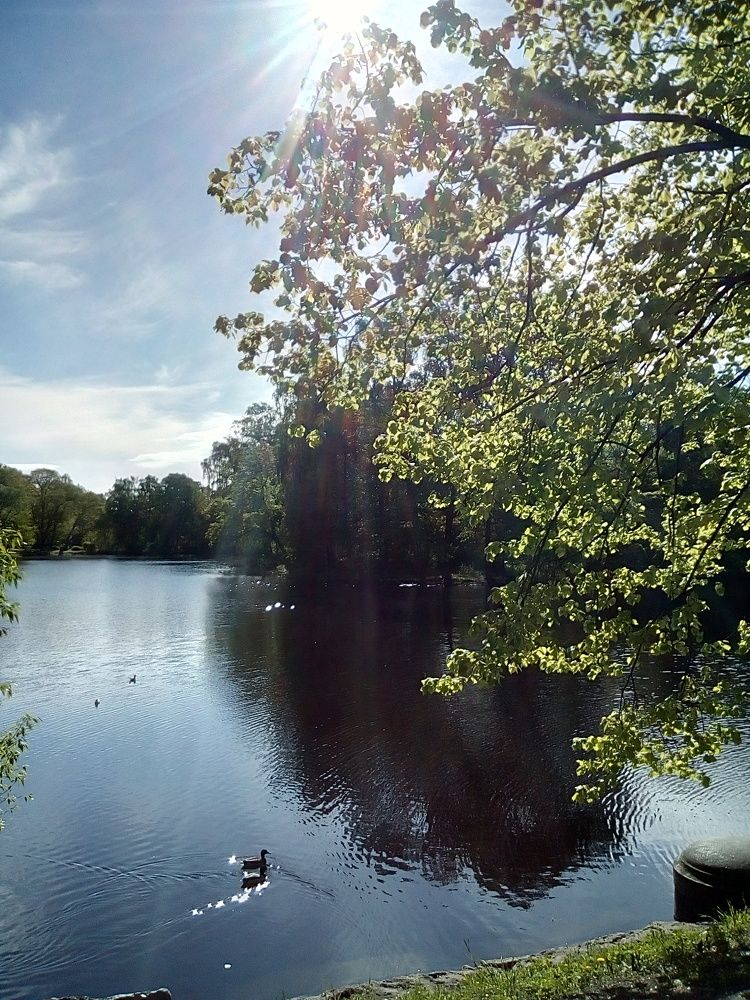 Photograph by Irina Mihailovskaya