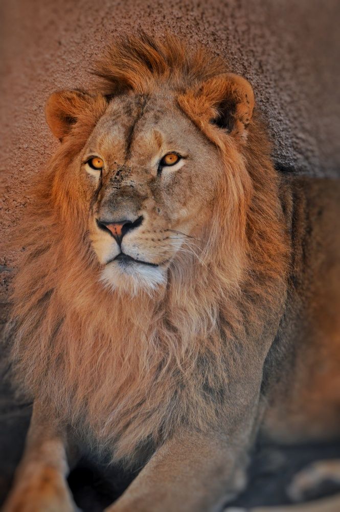 Photograph by Idir Bouaicha