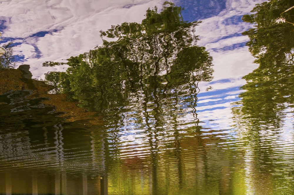 Отражение в пруду