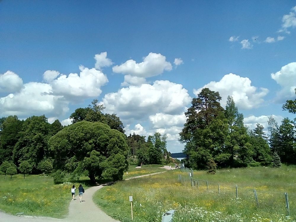 Photograph by Irina Mihailovskaya