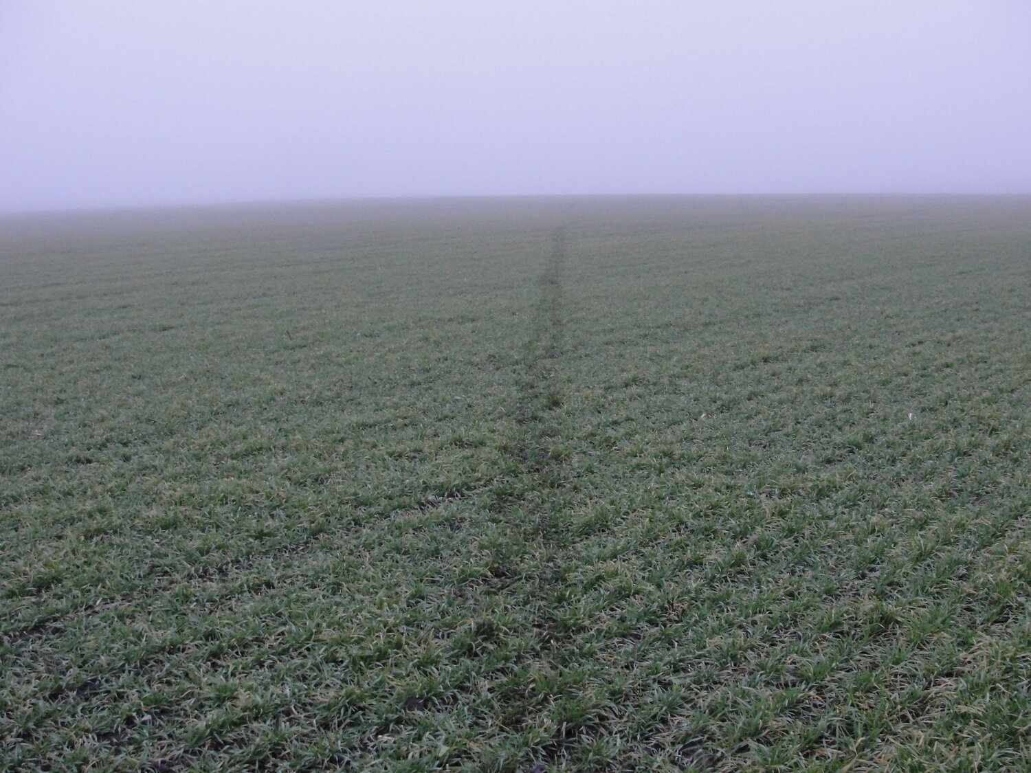 Photo #6860036