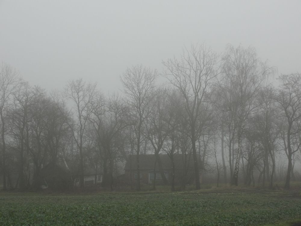 Photo #6860044