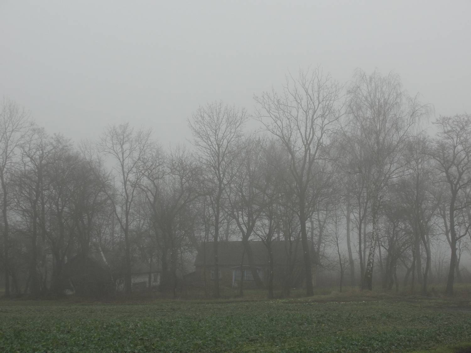 Photo #6860044