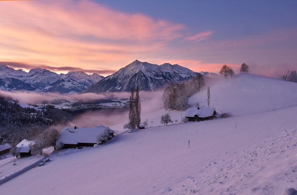 Photograph by Elena Wymann