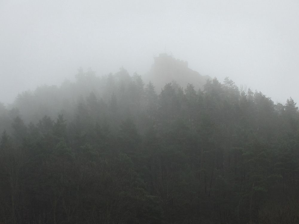 Photo #6860078