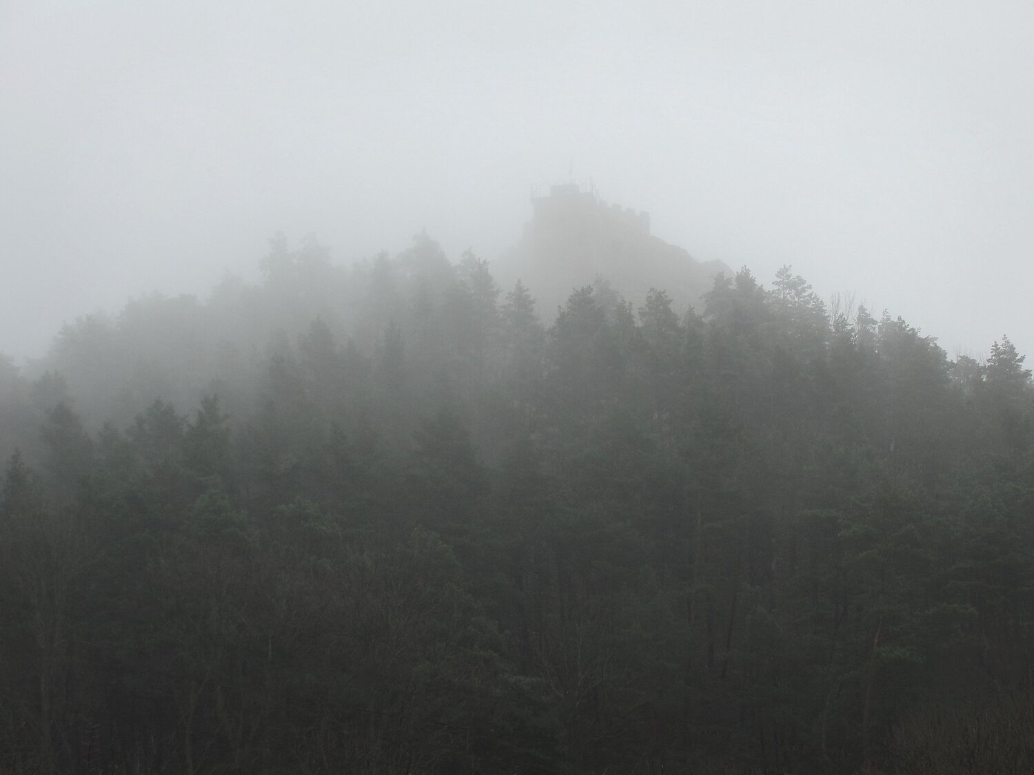 Photo #6860078