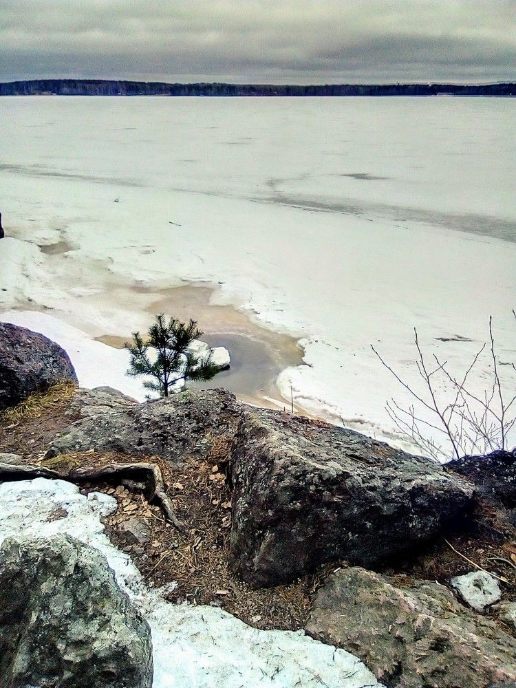 Photograph by Irina Mihailovskaya