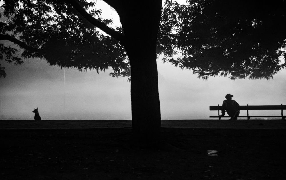 Photograph by Shywal Sen