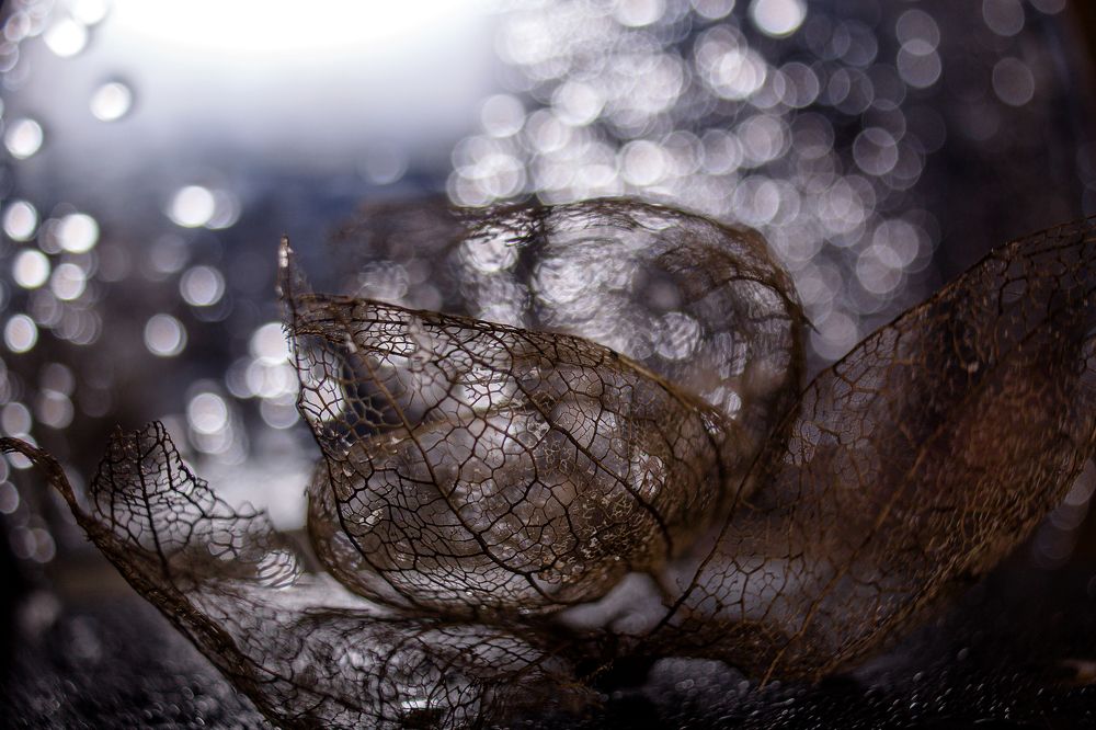 Photograph by Ольга Сергеенко