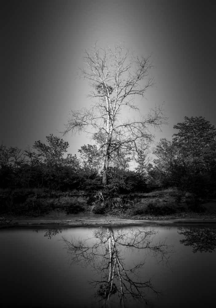 Photograph by Максим Митченко