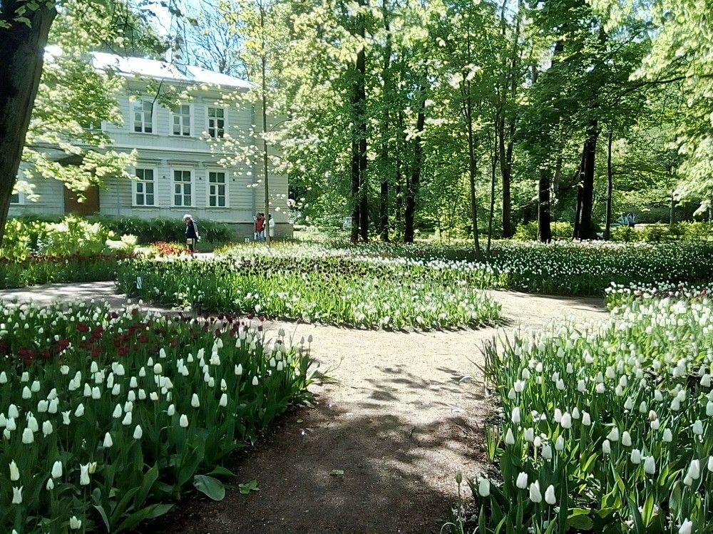 Photograph by Irina Mihailovskaya