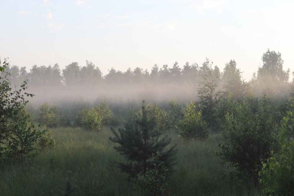 Фотография автора Анастасия