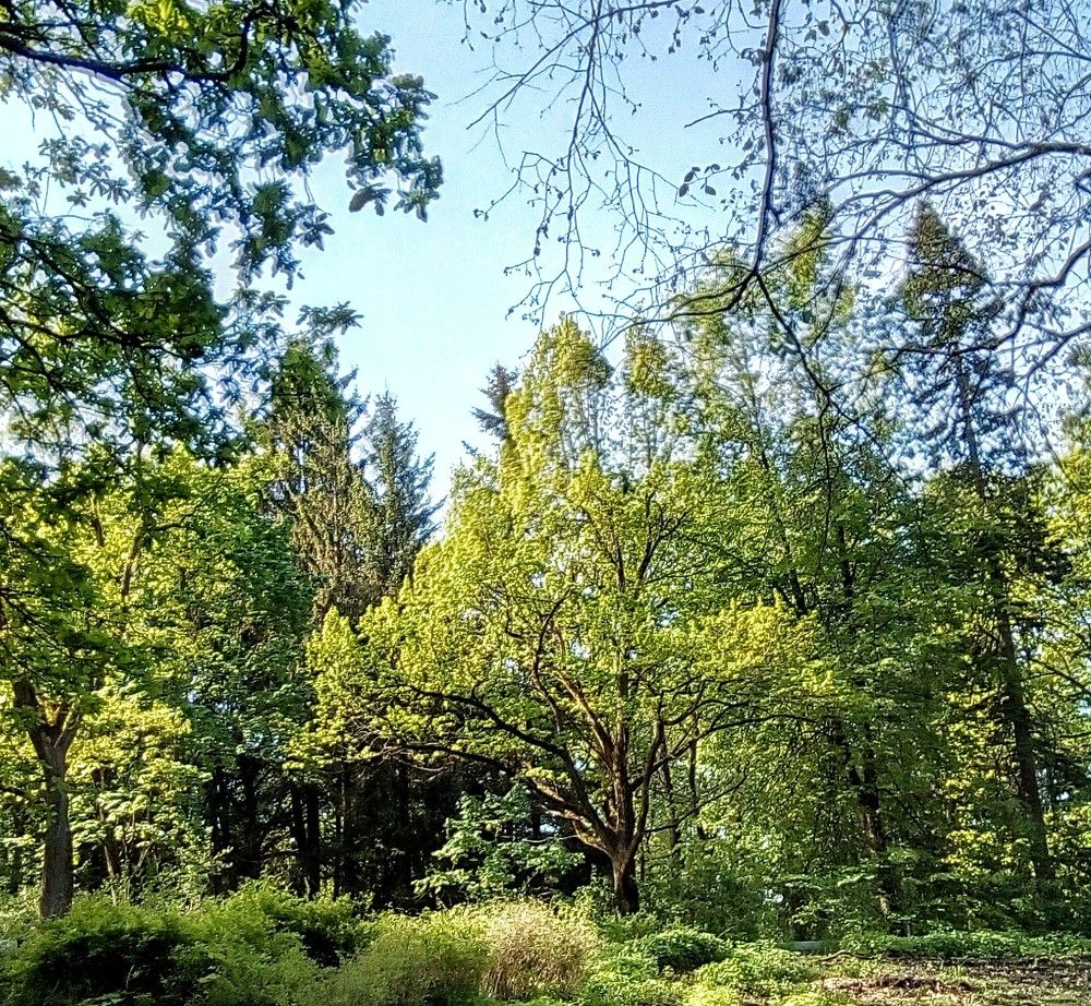 Photograph by Irina Mihailovskaya