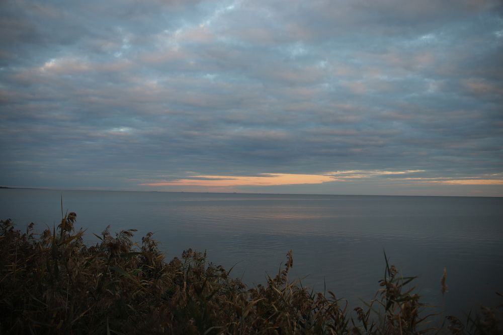 Photograph by Юлия Баринова