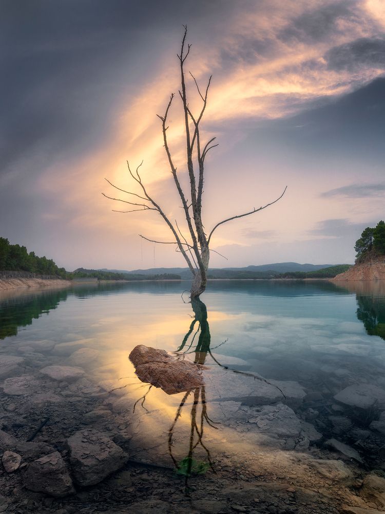 Photograph by Camacho Anto