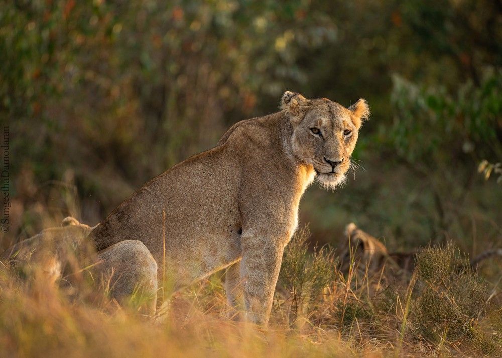 Photograph by Sangeetha Damodaran