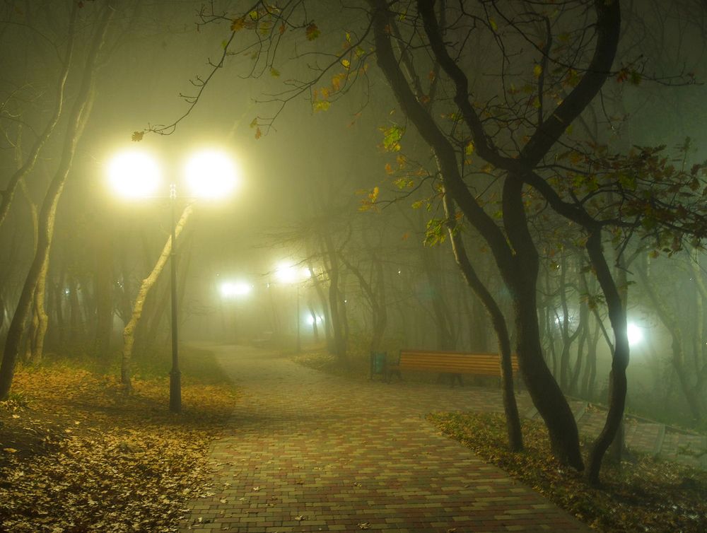 Photograph by Вадим Качанов