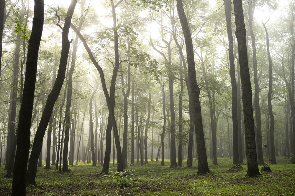 Photograph by Ксения Щербакова