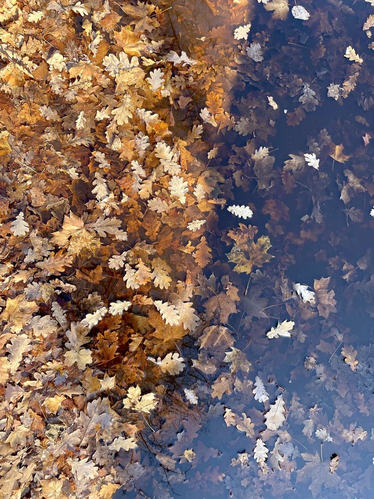 Photograph by Ксения Щербакова