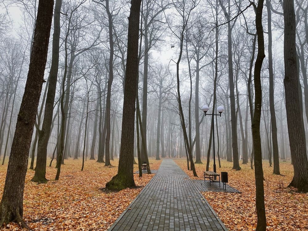 Photograph by Ксения Щербакова