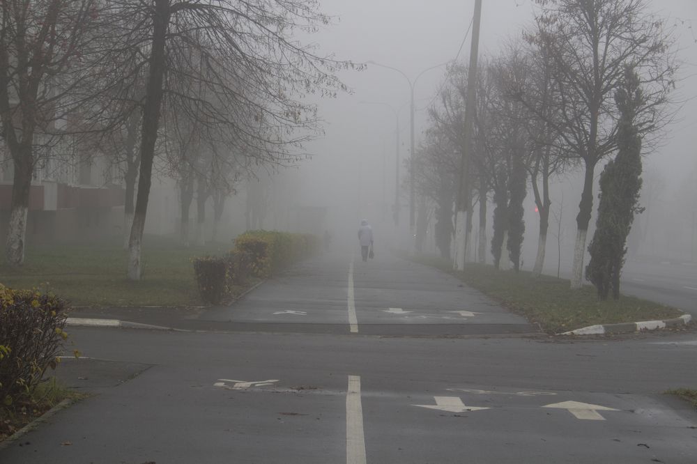 Photograph by Светлана