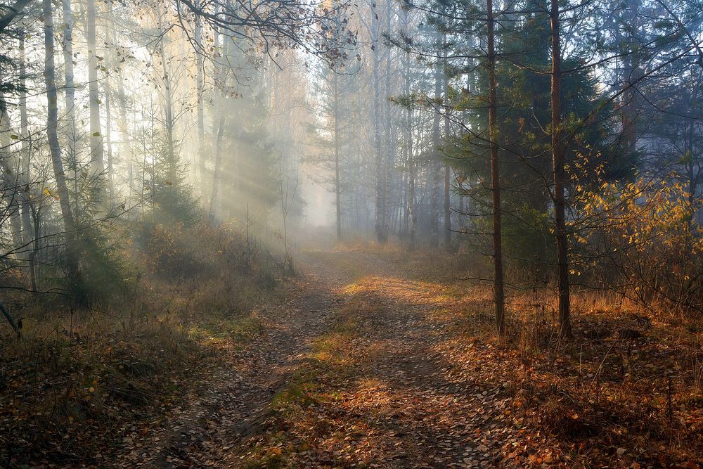 Photograph by Сергей Алексеев