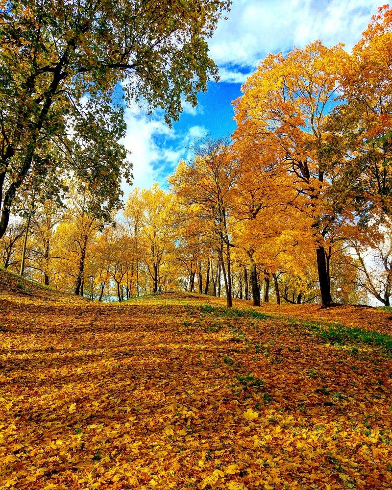 Фотография автора Serega3