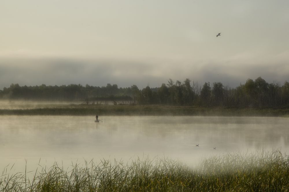 Утро на Свияге