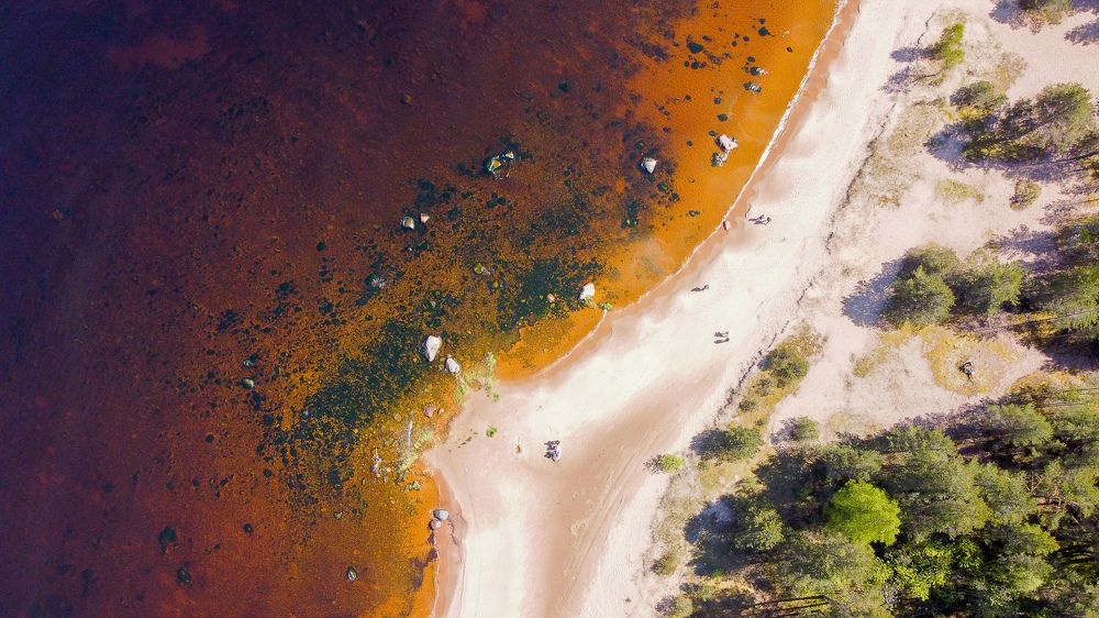 Photograph by Степан Кравченко