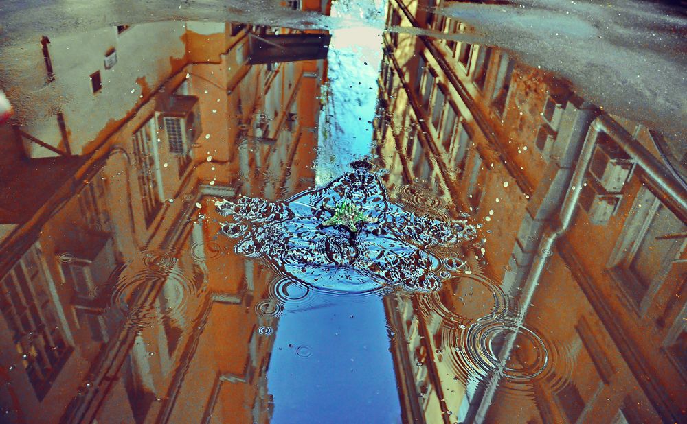 Водяная звездочка