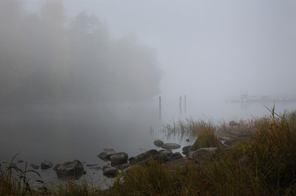 Туман на озере