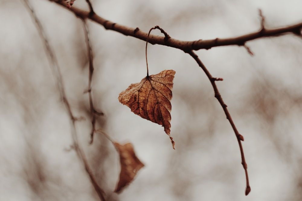 Photograph by Алёна Бондаренко