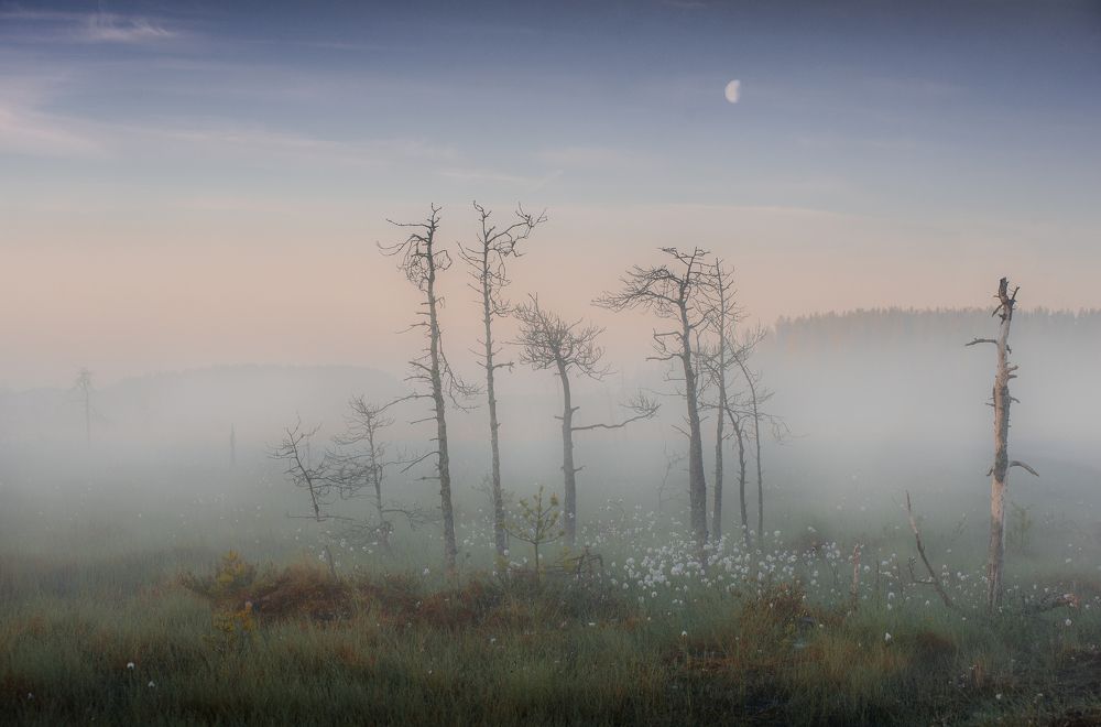 Photograph by Ekaterina Khlebnikova