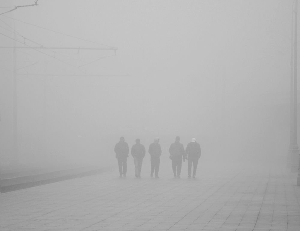 Прогулка в тумане