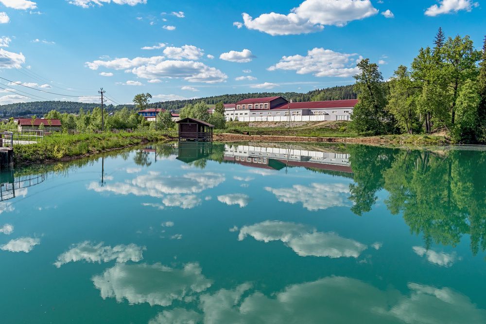 Photograph by Николай Николаенко