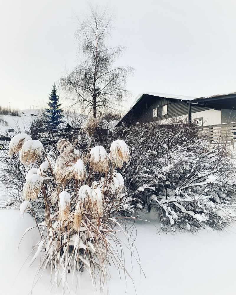 Photograph by Александра Некрасова