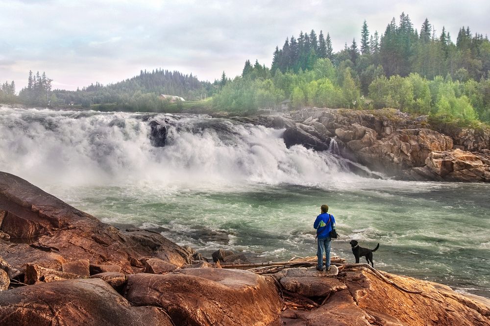Photograph by Крицак Ольга