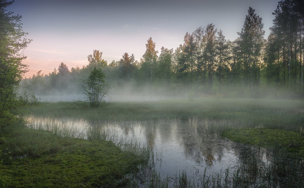 Photograph by Ekaterina Khlebnikova