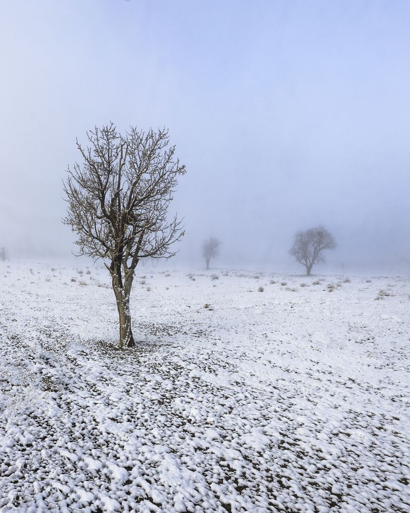 Фотография автора majid arab