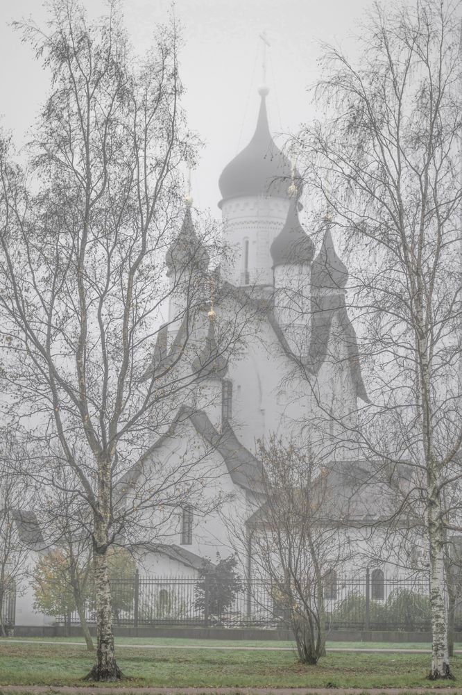 Photograph by Марина Алина