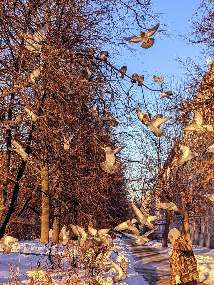 Photograph by Kristina Trofimova