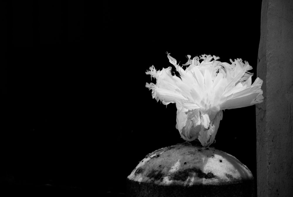 Photograph by Nora Cheprasova