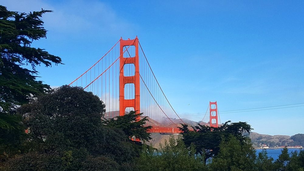 Photograph by Maja Kacprzyk