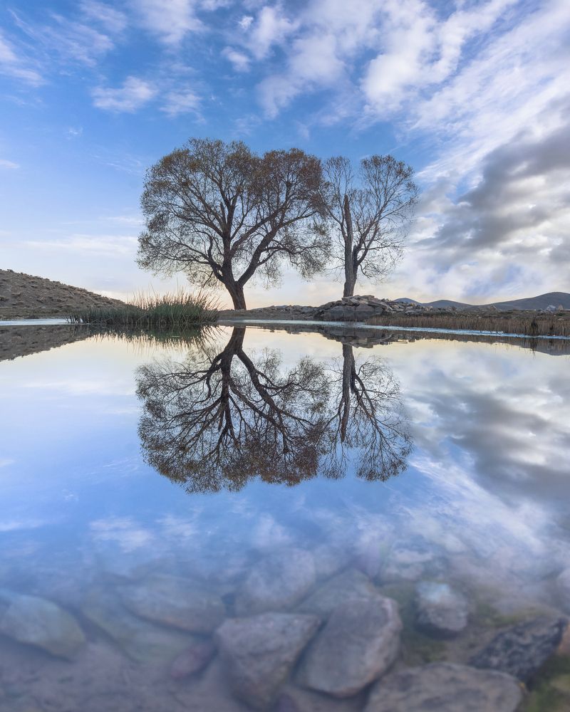 Photograph by majid arab